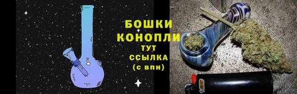 мдпв Магас