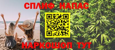 мдпв Аргун