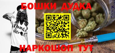 МДПВ Абакан