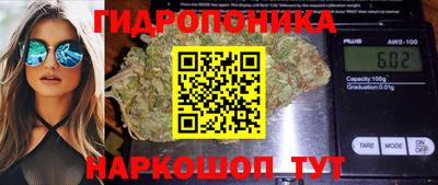 гидропоника Азнакаево