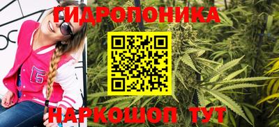 гидропоника Азнакаево