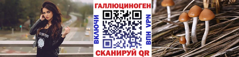 Псилоцибиновые грибы Psilocybe  закладка  Абакан 