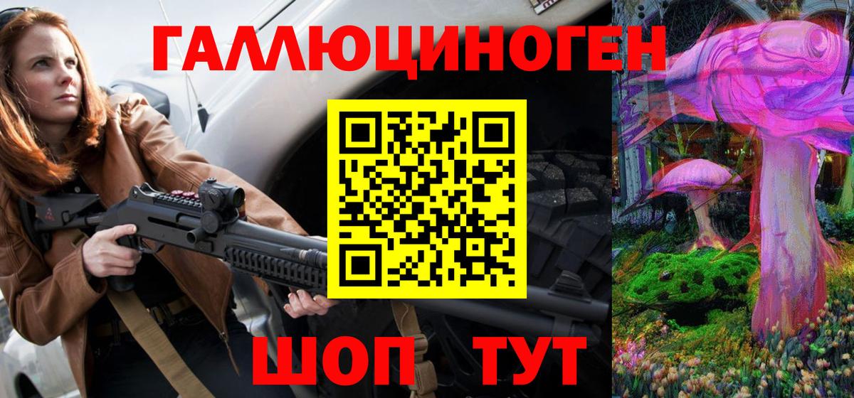 Галлюциногенные грибы Psilocybe Абакан