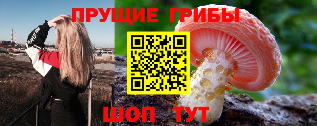 Абакан  Галлюциногенные грибы ЛСД  Галлюциногенные грибы прущие грибы  Вход с VPN 